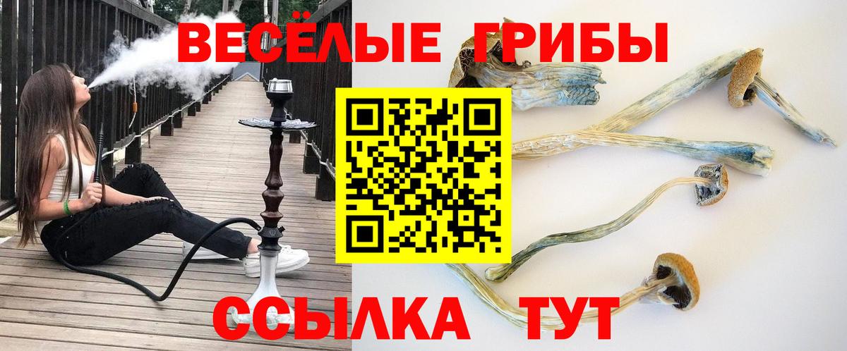 Галлюциногенные грибы мухоморы  Псилоцибиновые грибы MAGIC MUSHROOMS  Псков  Вход с VPN 
